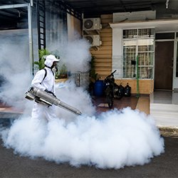 Mosquito Control